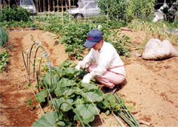 県内市民農園ガイド