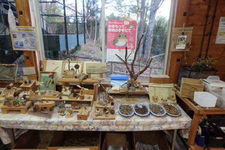 パークアルカディア森林科学館 いばらきのグリーン ツーリズム パークアルカディア森林科学館 いばらきのグリーン ツーリズム