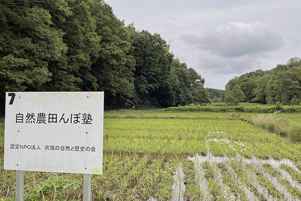 「令和3年度茨城むらまちネット総会・交流会・現地研修会」を開催しました