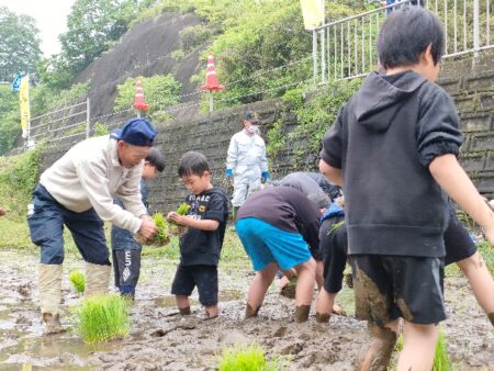 ふるさと魅力発見隊（城里町田植え）