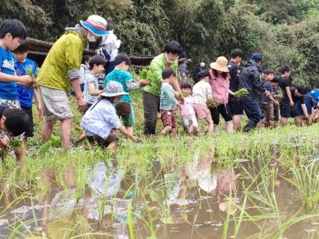 ふるさと魅力発見隊（城里町田植え）