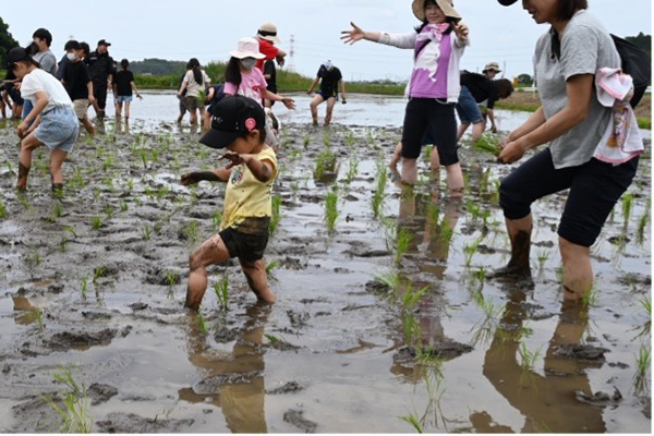 潮来市で「ふるさと魅力発見隊 田植え・いも苗植え・交流会」を実施しました