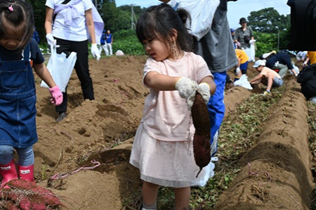 潮来市で「ふるさと魅力発見隊 稲刈り・芋掘り体験」を実施しました