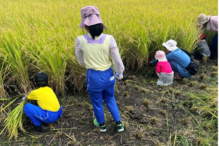 利根町で「ふるさと魅力発見隊 稲刈り体験」を実施しました