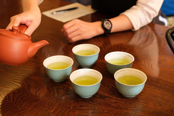 大子町で「ふるさと魅力発見隊 茶の実収穫・アクセサリー作り体験」を実施しました