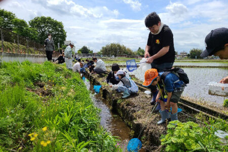 城里町で「ふるさと魅力発見隊 水生生物観察会」を実施しました