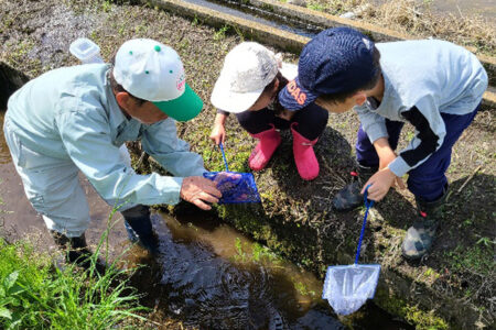 城里町で「ふるさと魅力発見隊 水生生物観察会」を実施しました