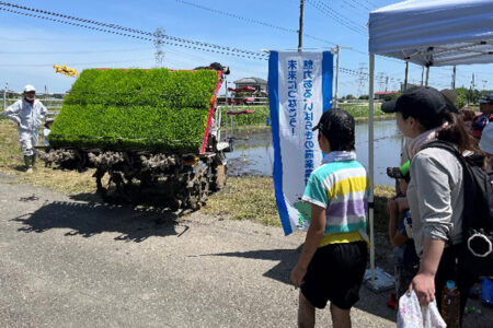 利根町で「ふるさと魅力発見隊 田植え体験」を実施しました