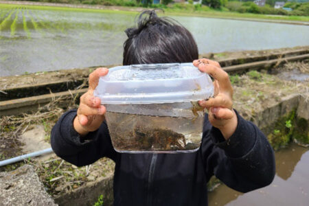 城里町で「ふるさと魅力発見隊 水生生物観察会」を実施しました