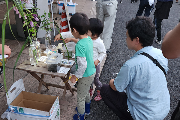 ホタル鑑賞会