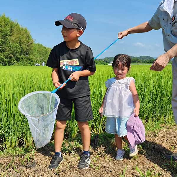 常陸大宮市で生き物観察会を開催しました