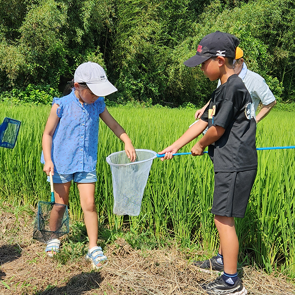 常陸大宮市で生き物観察会を開催しました