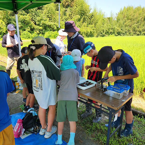 常陸大宮市で生き物観察会を開催しました