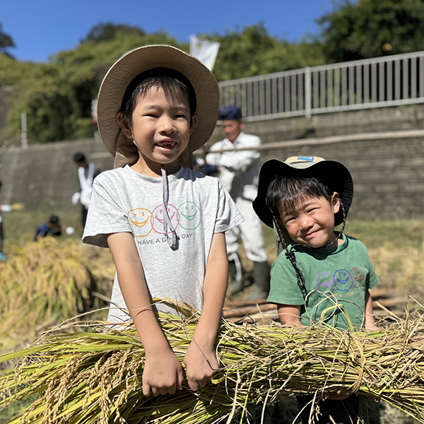 城里町で稲刈り体験を開催しました